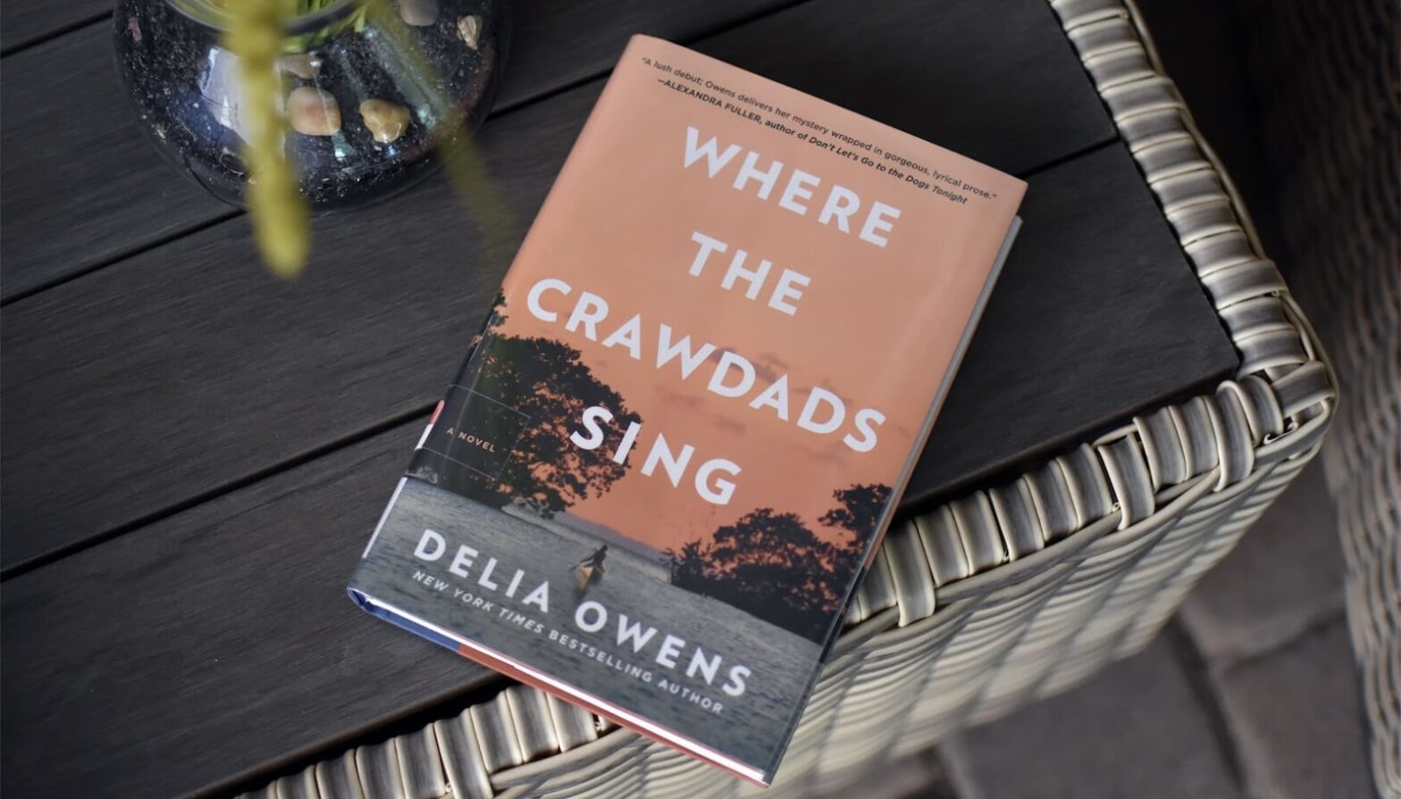 “Where the Crawdads Sing”: The Drama and Mystery
