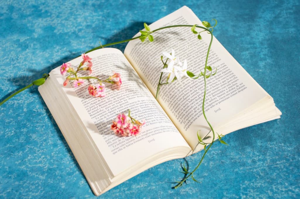 An open book adorned with delicate pink flowers on a vibrant blue backdrop